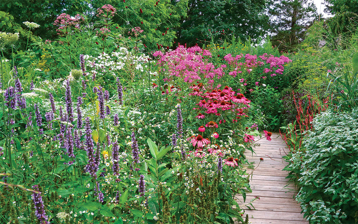 Perennial Pollinator Seed Mix