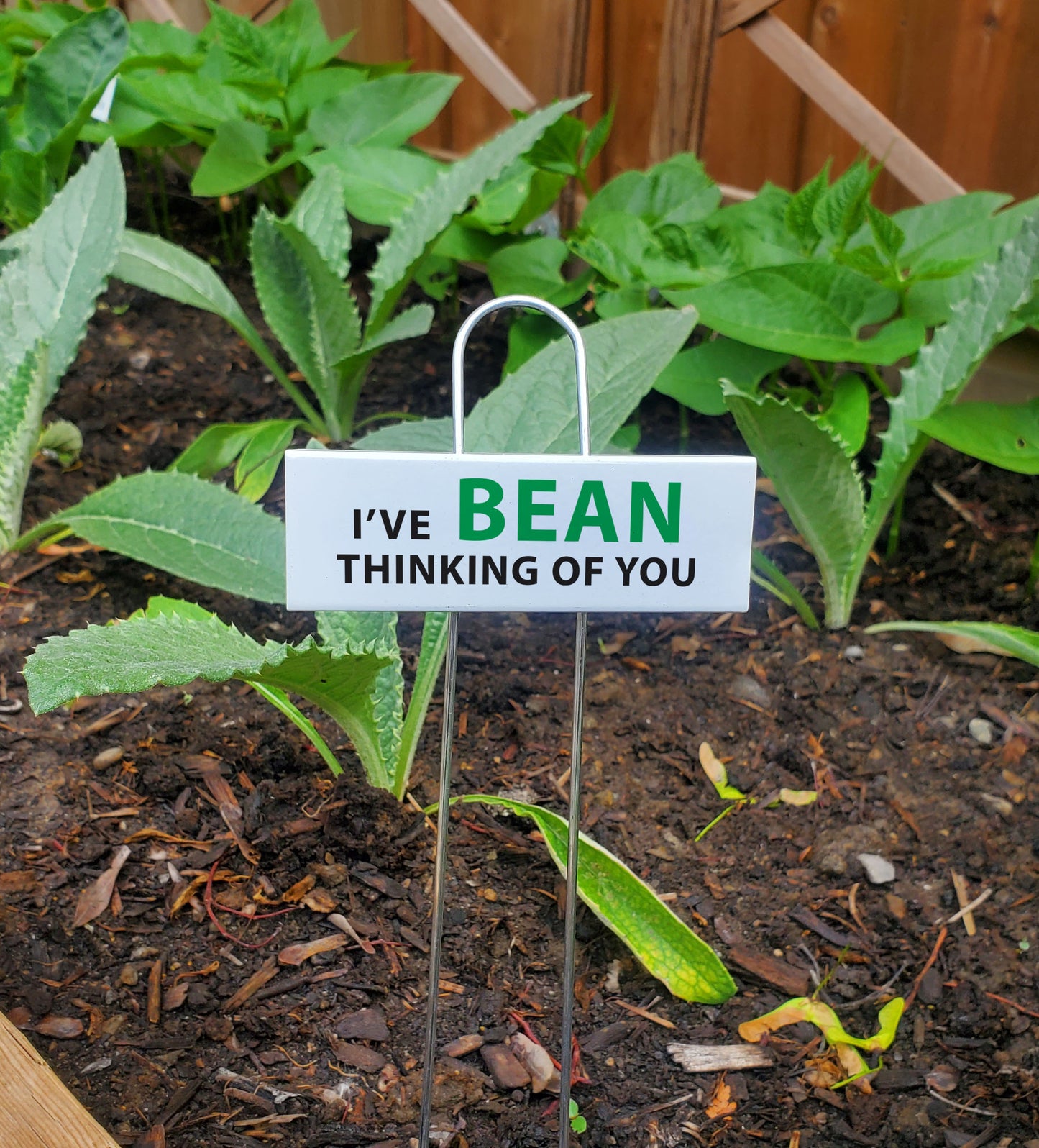 Funny Garden Markers