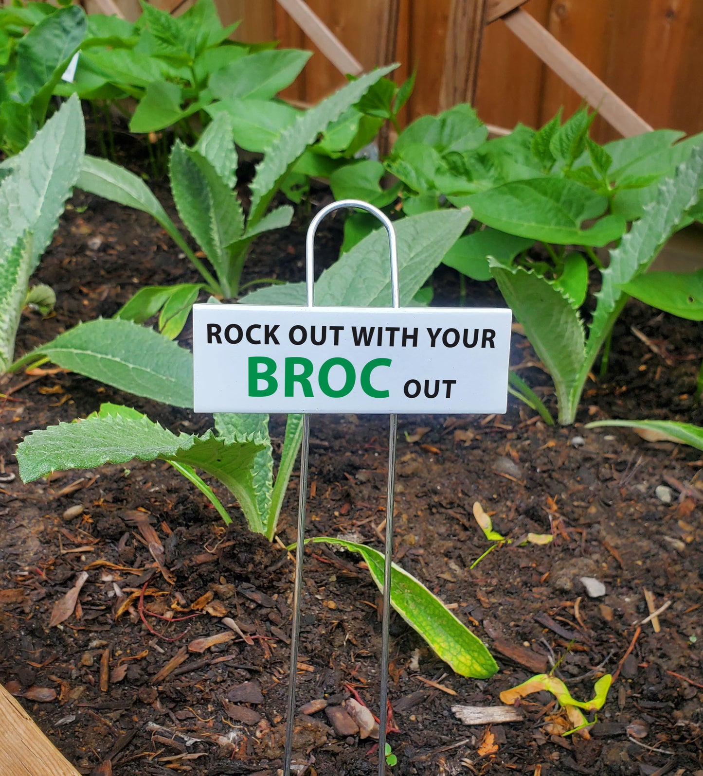 Funny Garden Markers