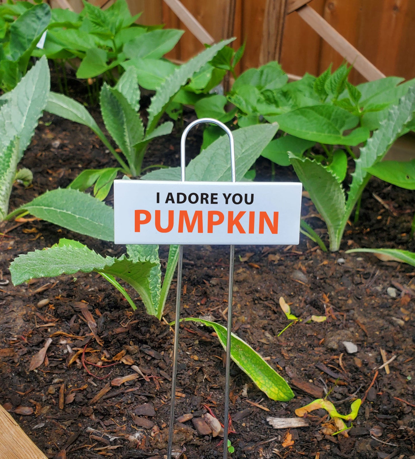 Funny Garden Markers