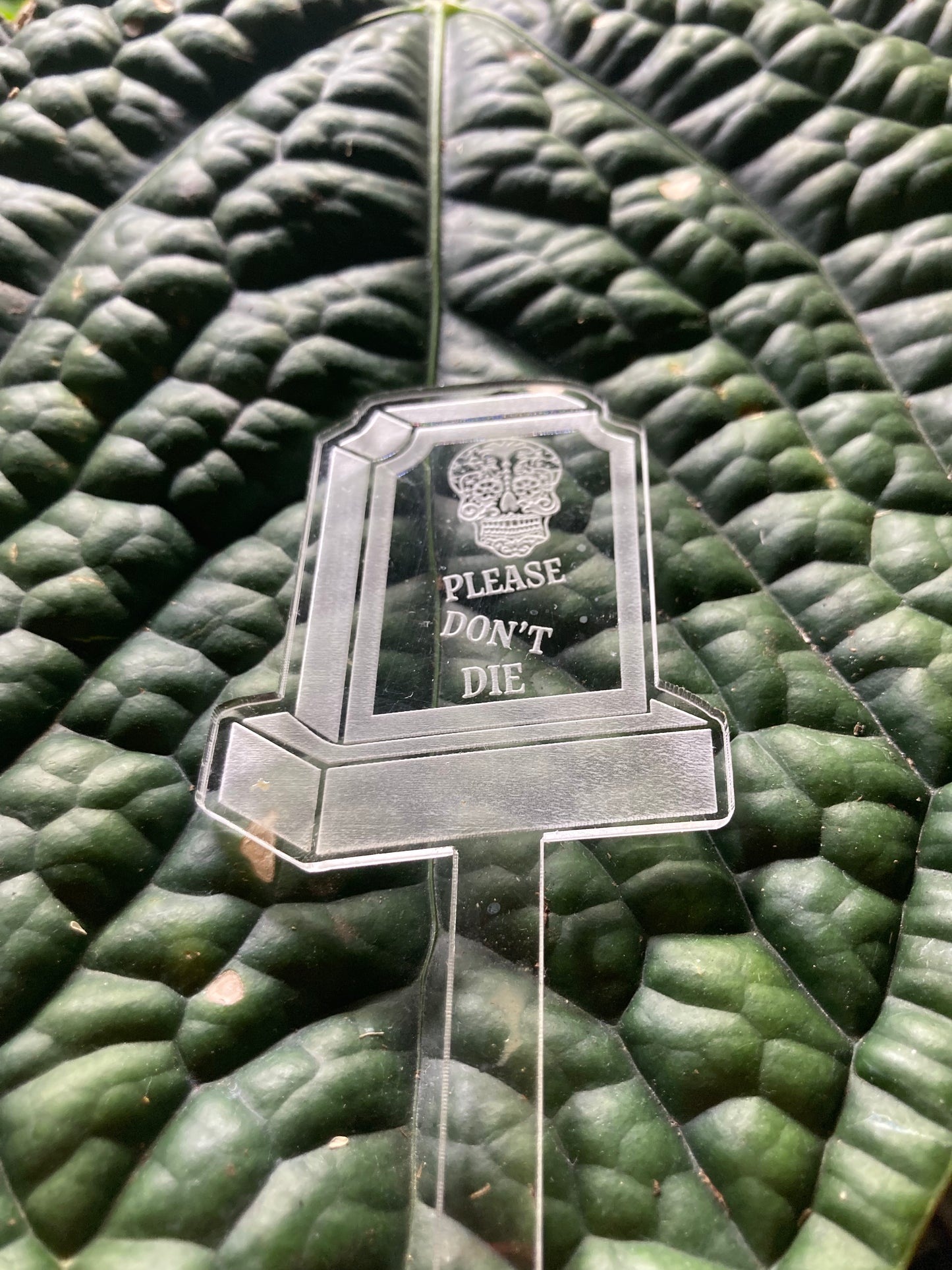 Funny Plant Markers - Blame it all on my roots