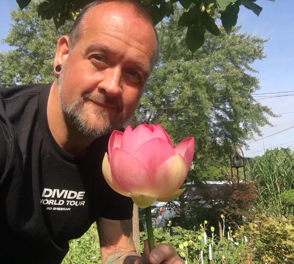 Sacred Lotus - Pink - Seeds