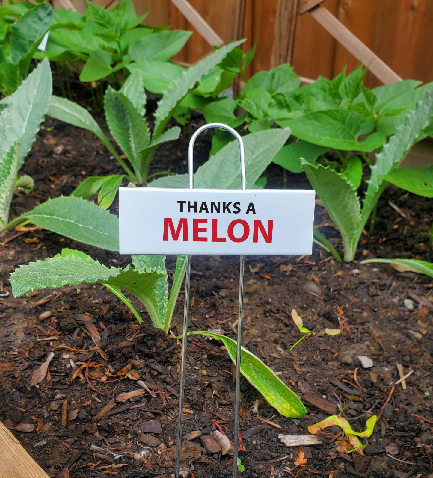 Funny Garden Markers